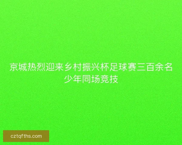 京城热烈迎来乡村振兴杯足球赛三百余名少年同场竞技